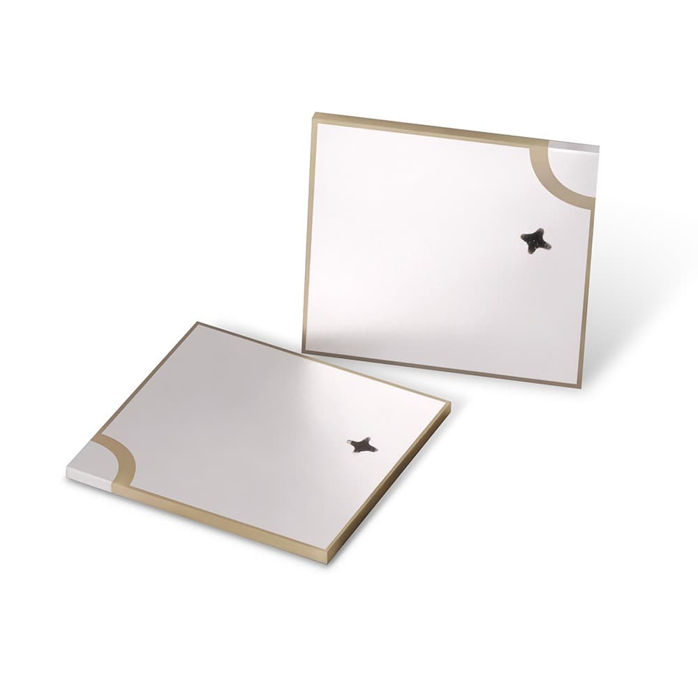 13×13×2.5MHz P51正引负