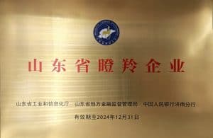 山东省瞪羚企业